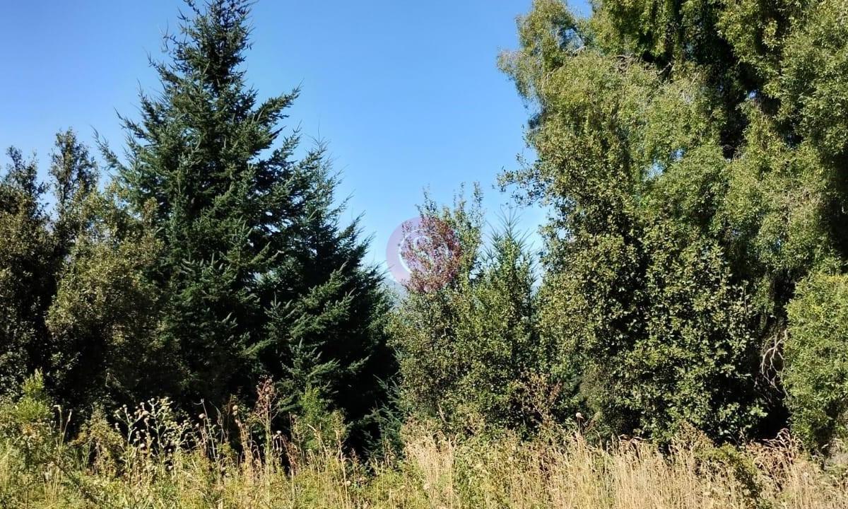 Lote en Venta en San Martin de los Andes, Patagonia