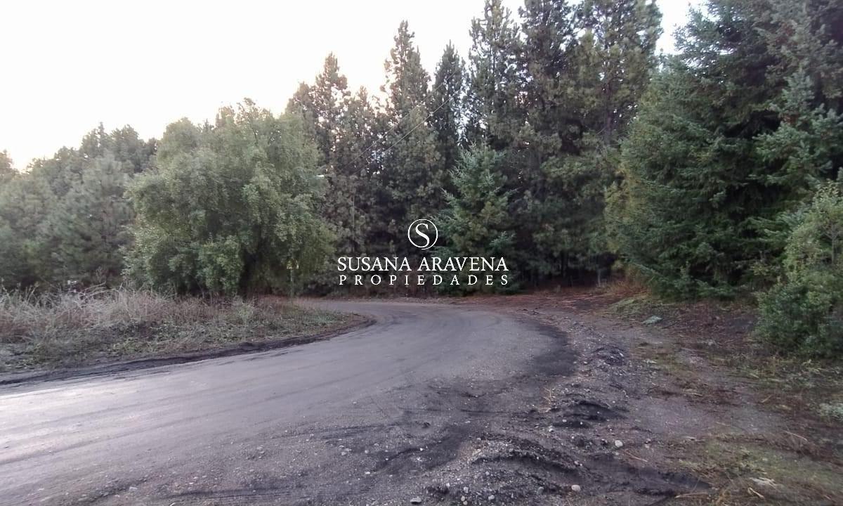 Foto de Lote en Venta en Ruca Hué, San Martin De Los Andes, imagen 4