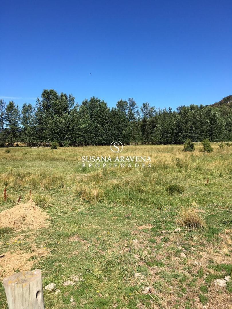 Foto de Lote en Venta en San Martin de los Andes, Patagonia, imagen 2