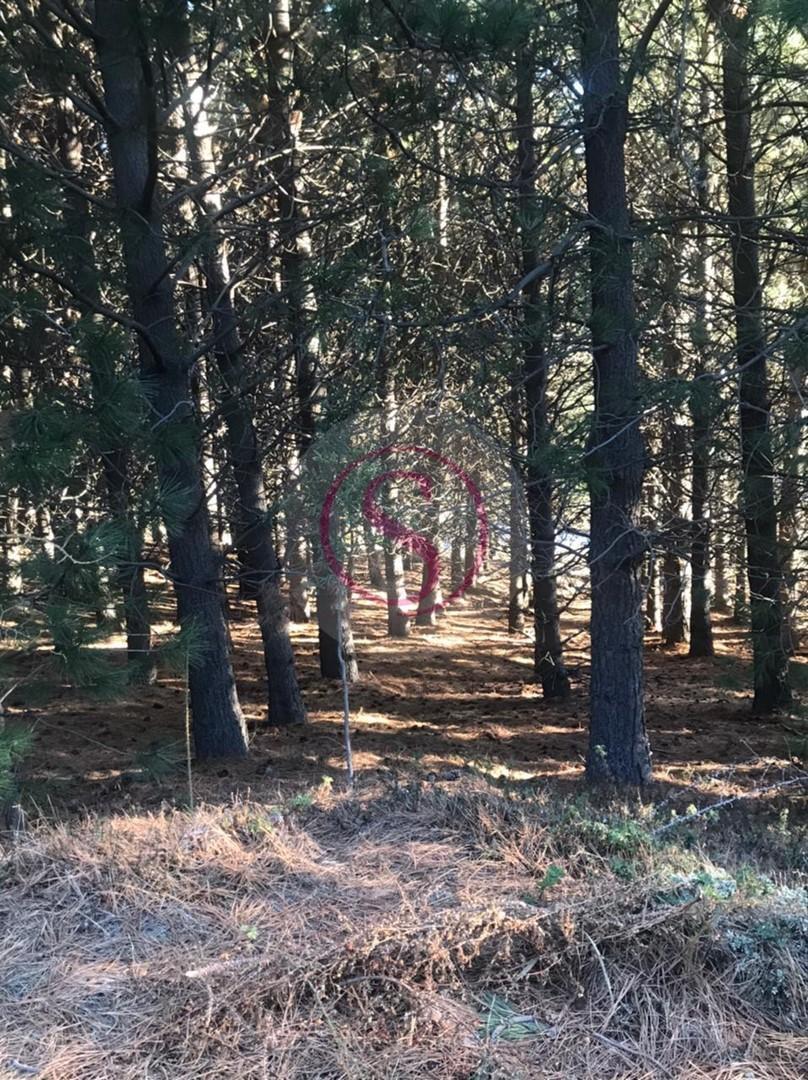Lote en Venta en Chapelco Golf, San Martin de los Andes