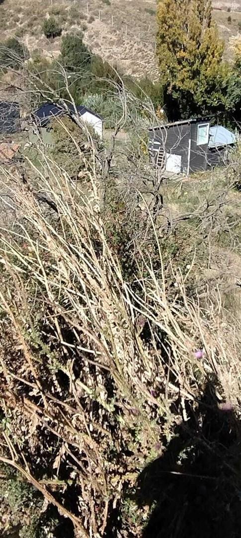 Foto de Lote en Venta en Las Nalcas, San Martin de los Andes, Patagonia, imagen 4