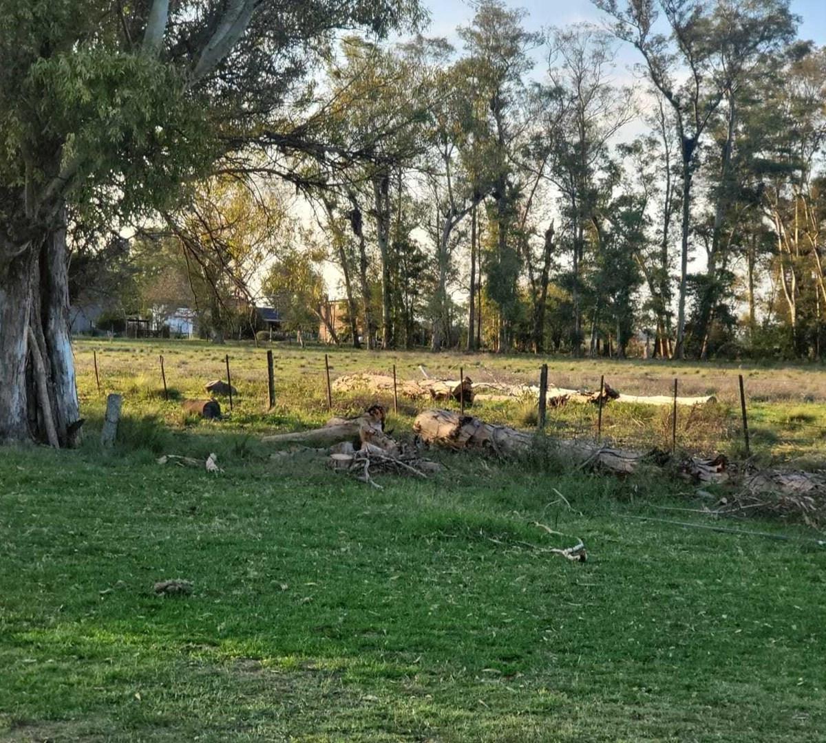 Terreno Lote en Venta en El Remanso, Exaltación de la Cruz, G.B.A. Zona Norte