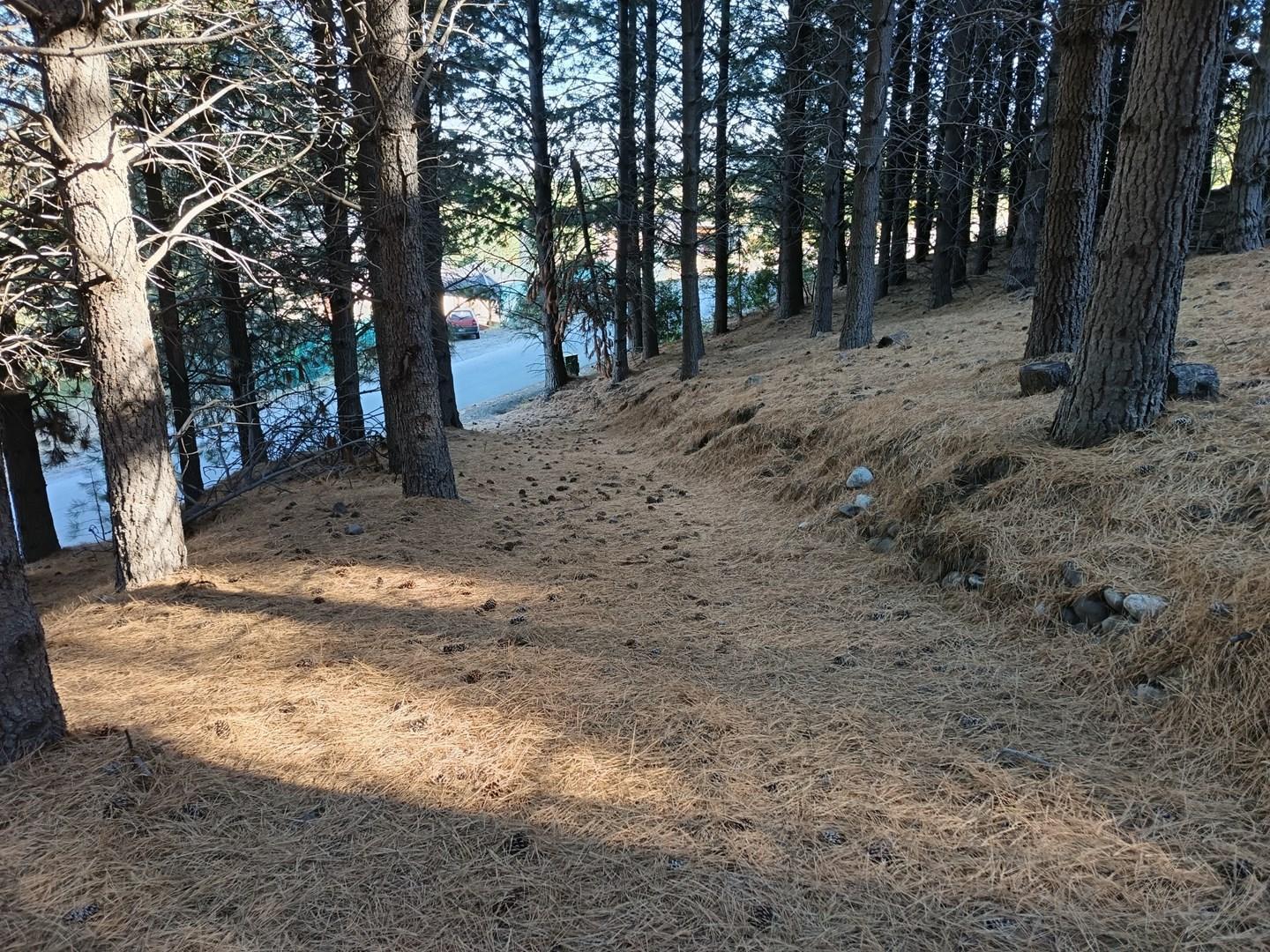 Foto de Lote en Venta en Chapelco Golf, San Martin de los Andes, Patagonia, imagen 4