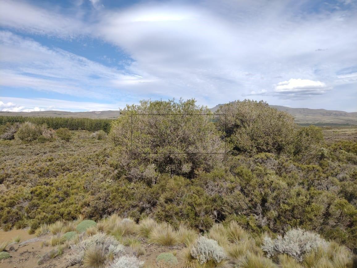 Lote en Venta en Huechulafquen, Junin de Los Andes 3