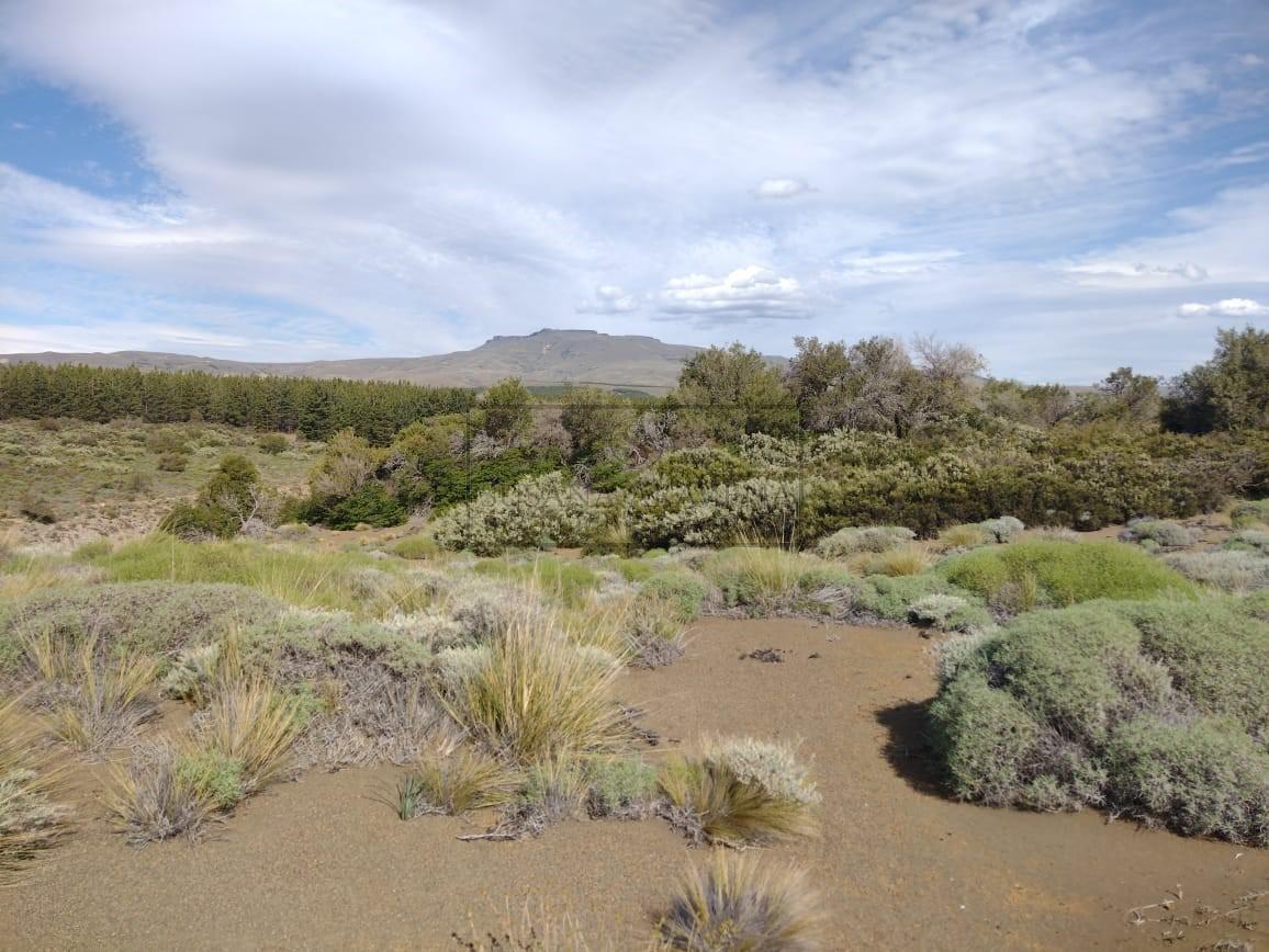 Lote en Venta en Huechulafquen, Junin de Los Andes 5