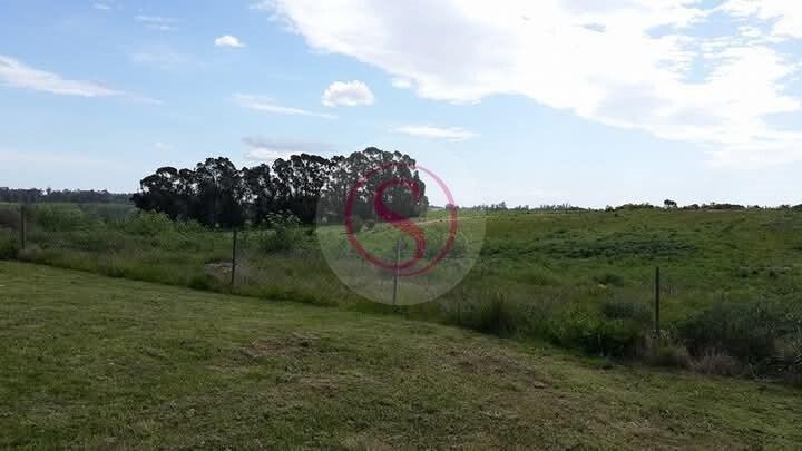 Terreno en Venta en Quequén, Costa Atlántica, Buenos Aires 5