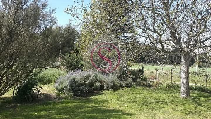 Terreno en Venta en Quequén, Costa Atlántica, Buenos Aires 3