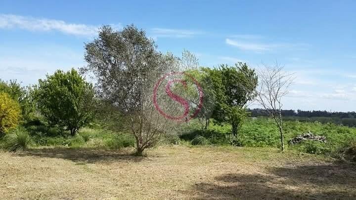 Terreno en Venta en Quequén, Costa Atlántica, Buenos Aires 1