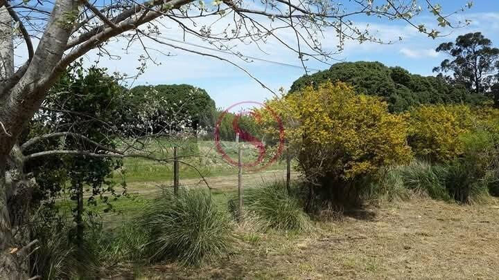 Terreno en Venta en Quequén, Costa Atlántica, Buenos Aires