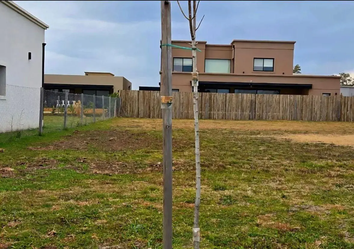 Terreno Lote  en Venta en Santa Elisa, Pilar del Este, Pilar 3