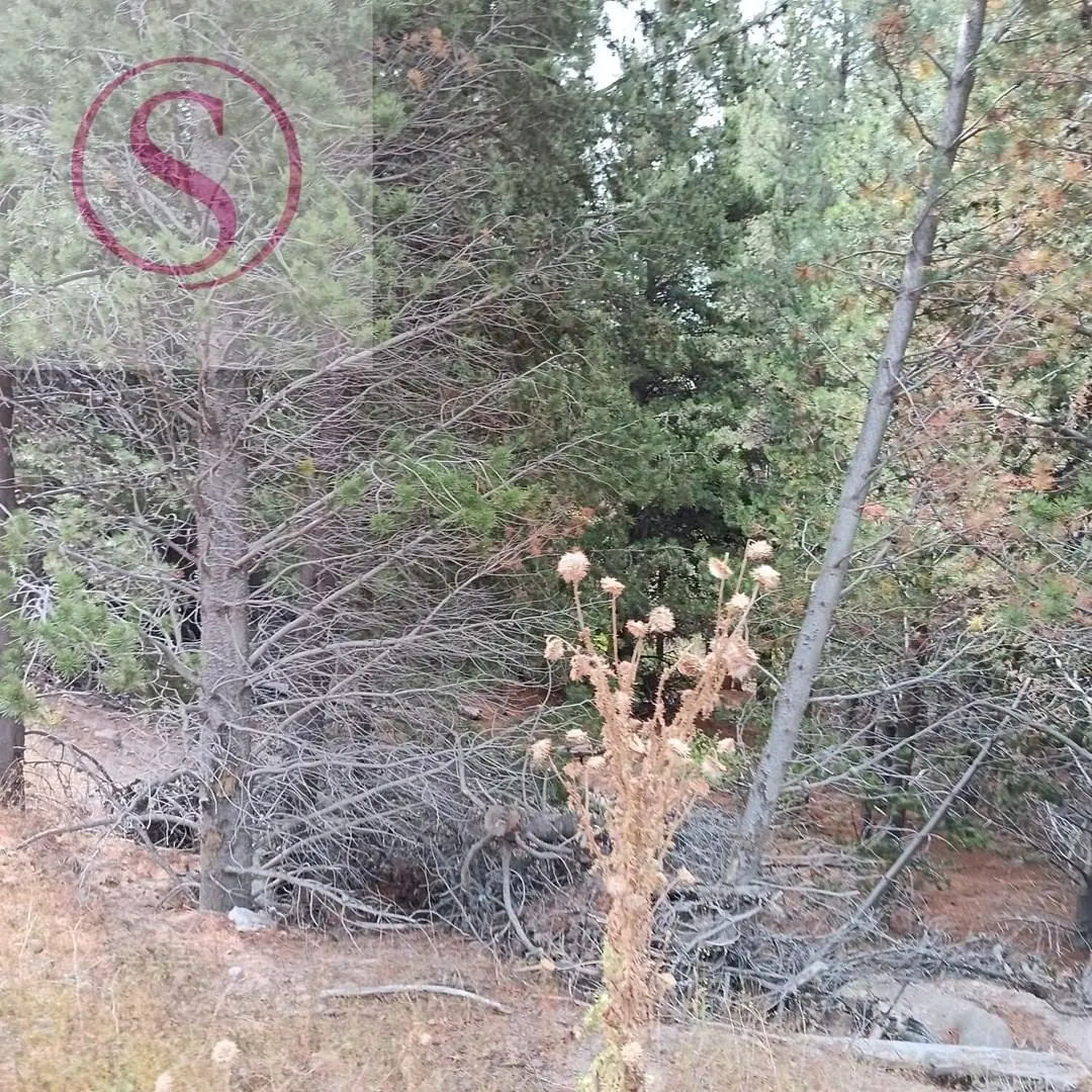 Terreno Lote en Venta en El Desafio, San Martin de los Andes, Patagonia 4