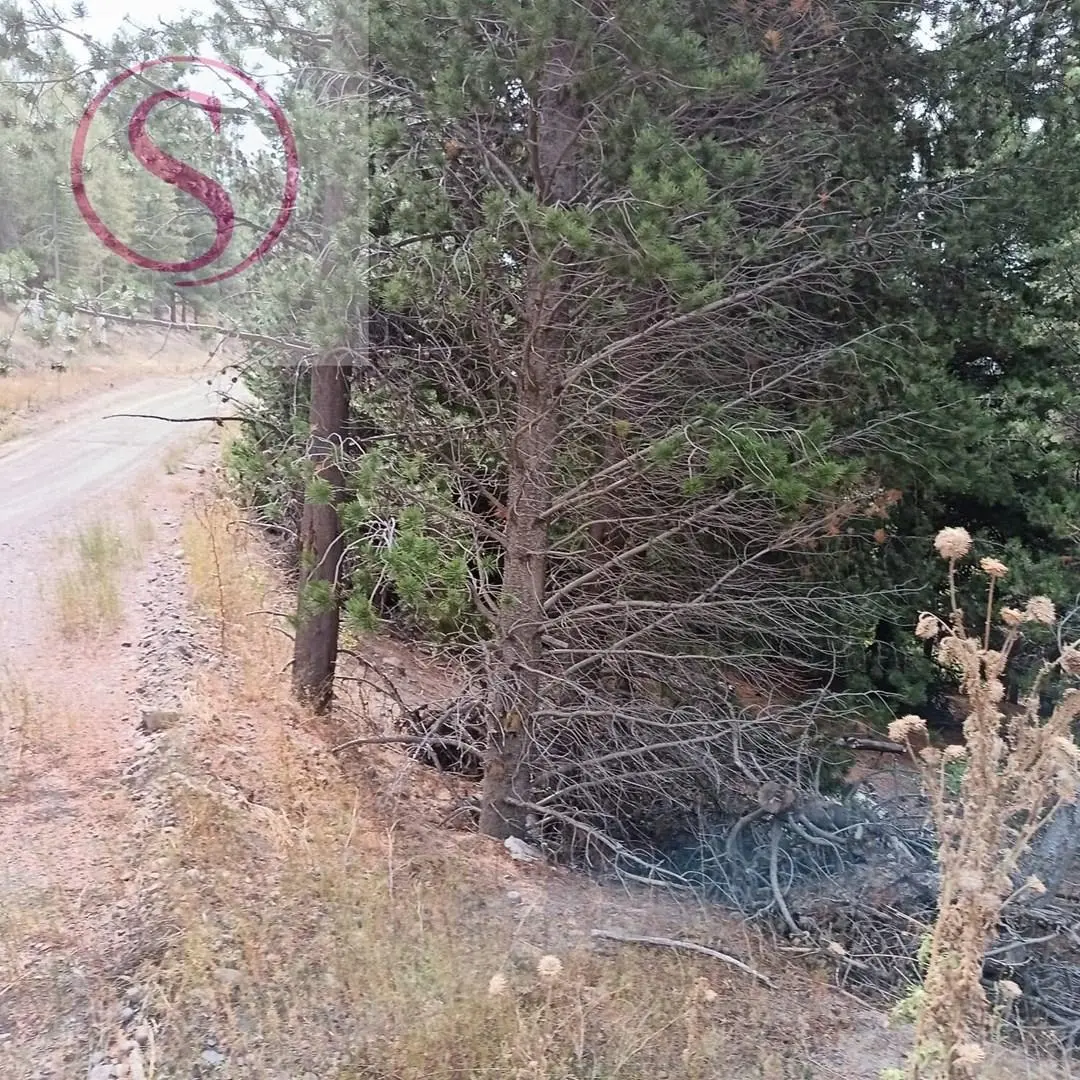 Terreno Lote en Venta en El Desafio, San Martin de los Andes, Patagonia 1