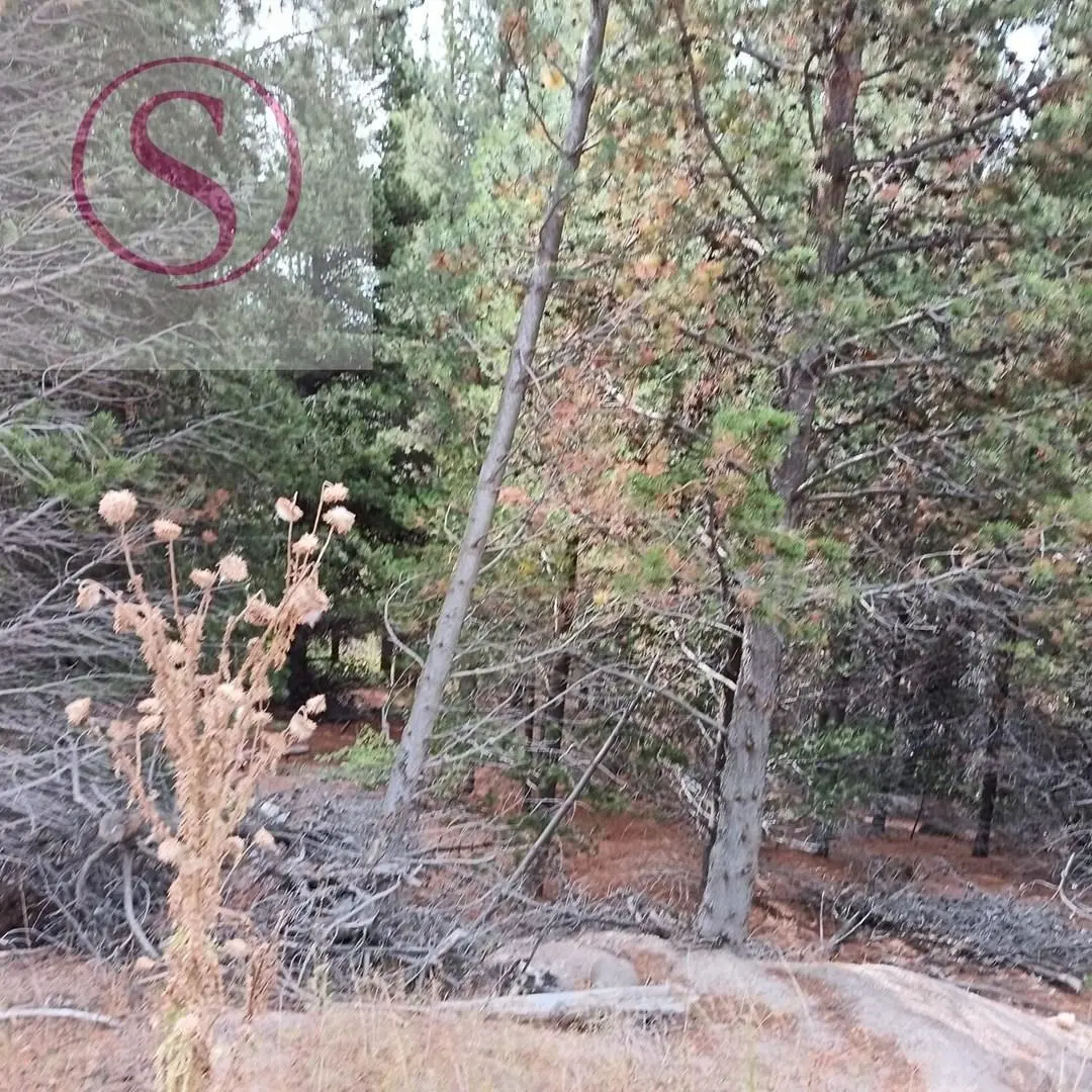 Terreno Lote en Venta en El Desafio, San Martin de los Andes, Patagonia 5
