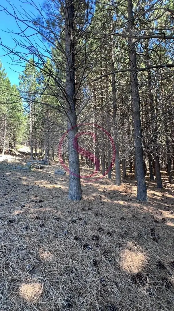 Terreno Lote en Venta en San Martin de los Andes, Patagonia, Argentina 1
