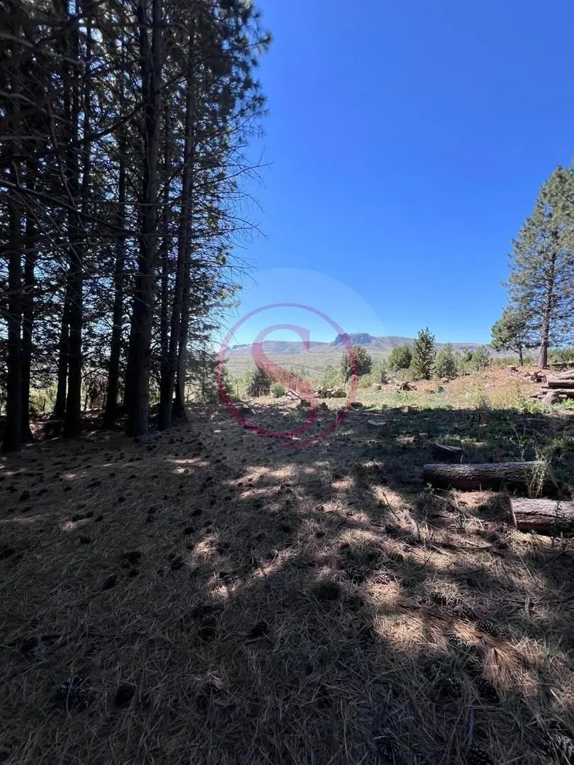 Terreno Lote en Venta en San Martin de los Andes, Patagonia, Argentina 4