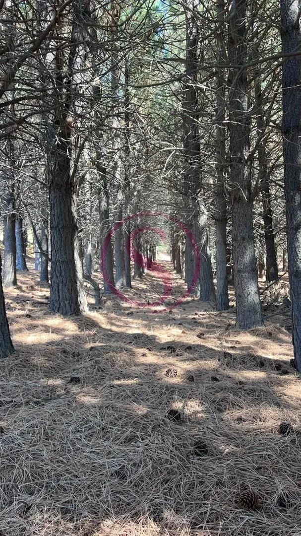 Terreno Lote en Venta en San Martin de los Andes, Patagonia, Argentina 3