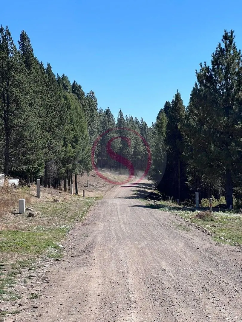 Terreno Lote en Venta en San Martin de los Andes, Patagonia, Argentina 2
