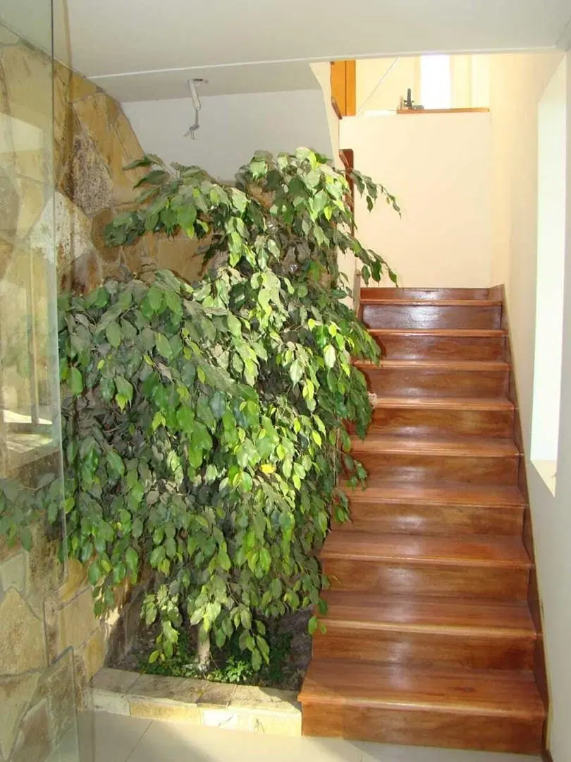 Casa en Alquiler en Campo Grande, Pilar, G.B.A. Zona Norte 4
