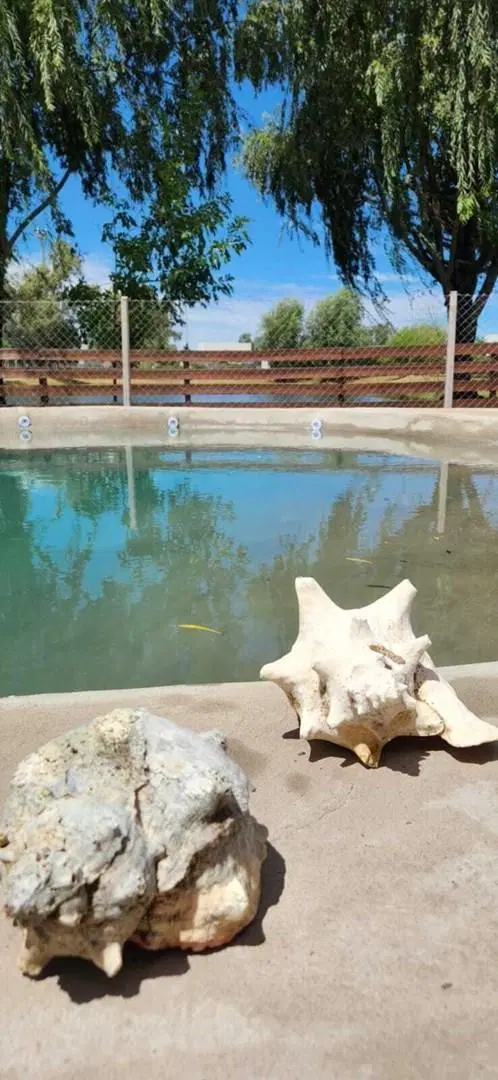 Casa en Venta en Santa Emilia, Pilar del Este, Pilar 4