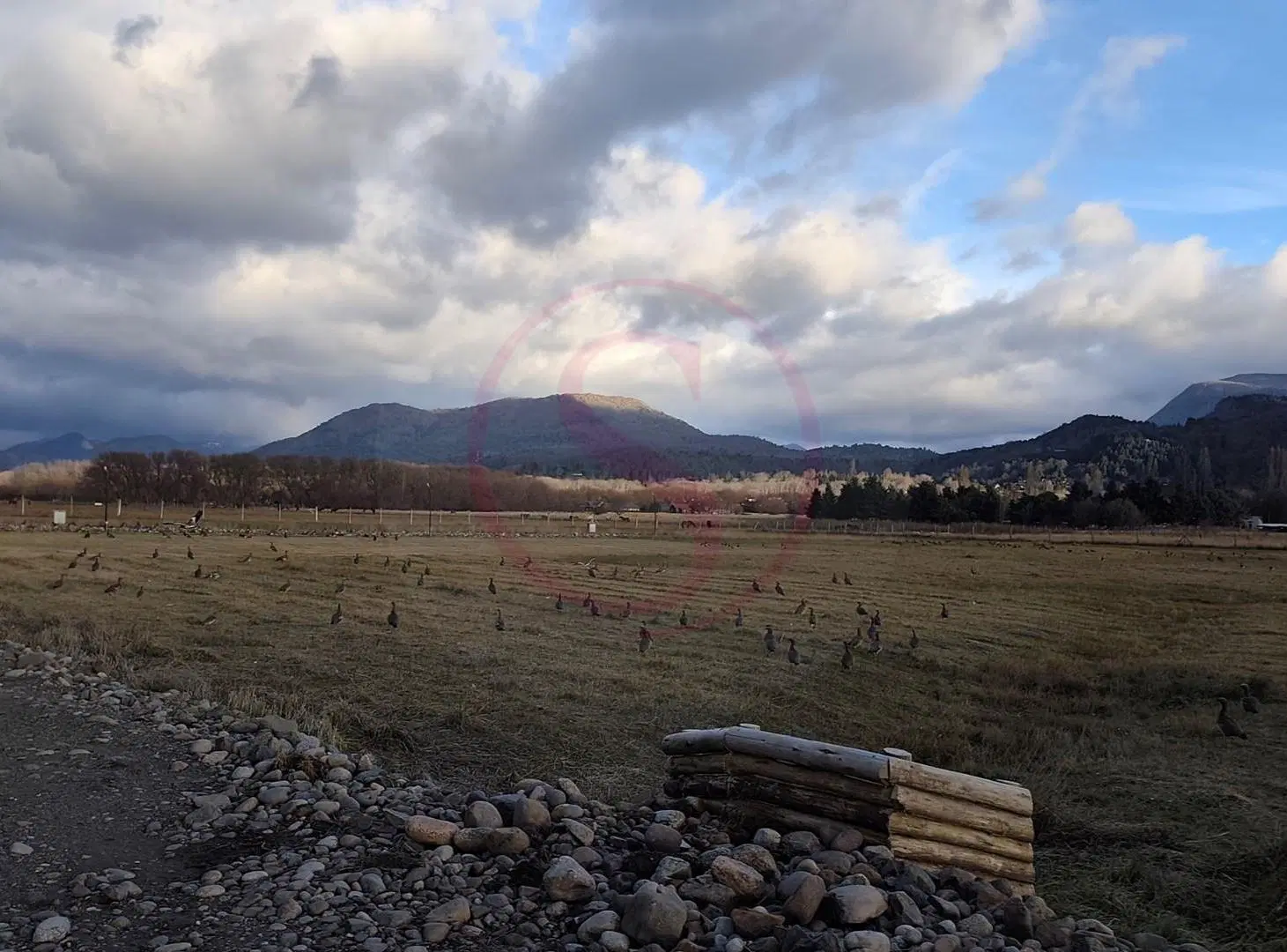 Terreno Urbano en Venta en Villa Vega San Martin, San Martin de los Andes, Patagonia 4