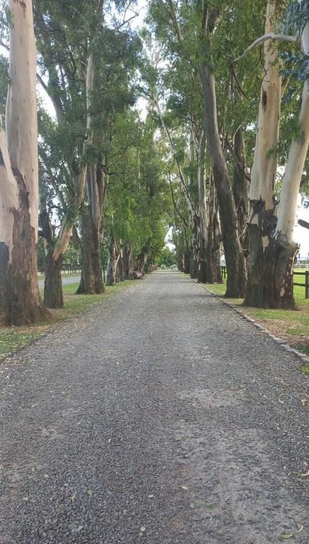 Terreno Lote en Venta en El Campo - Fincas Exclusivas Cardales, Campana, G.B.A. Zona Norte