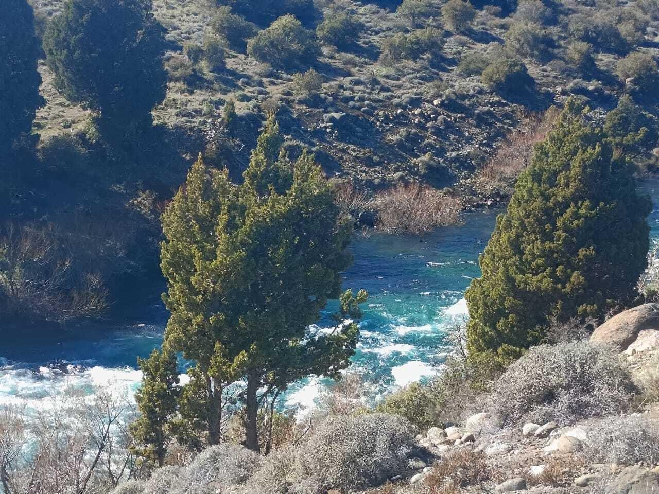 Foto de Terreno Lote en Venta en Junin de los Andes, Patagonia, Argentina, imagen 3