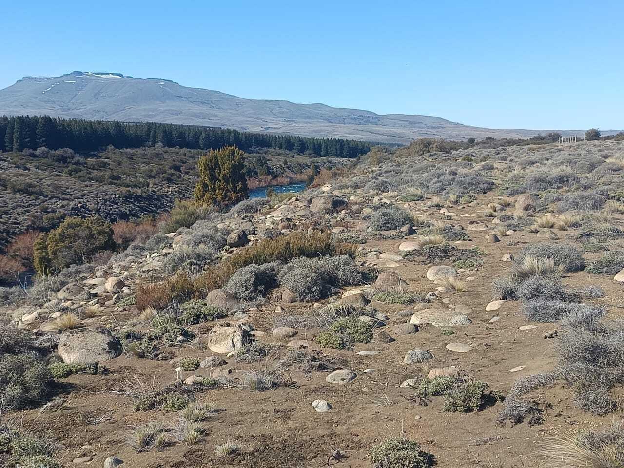 Foto de Terreno Lote en Venta en Junin de los Andes, Patagonia, Argentina, imagen 5