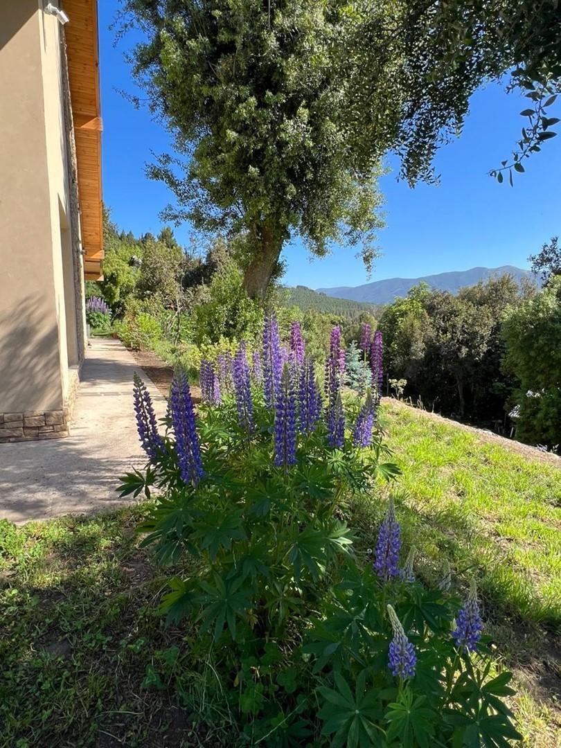 Foto de Casa Quinta en Venta en Rincon Radales, San Martin de los Andes, imagen 4