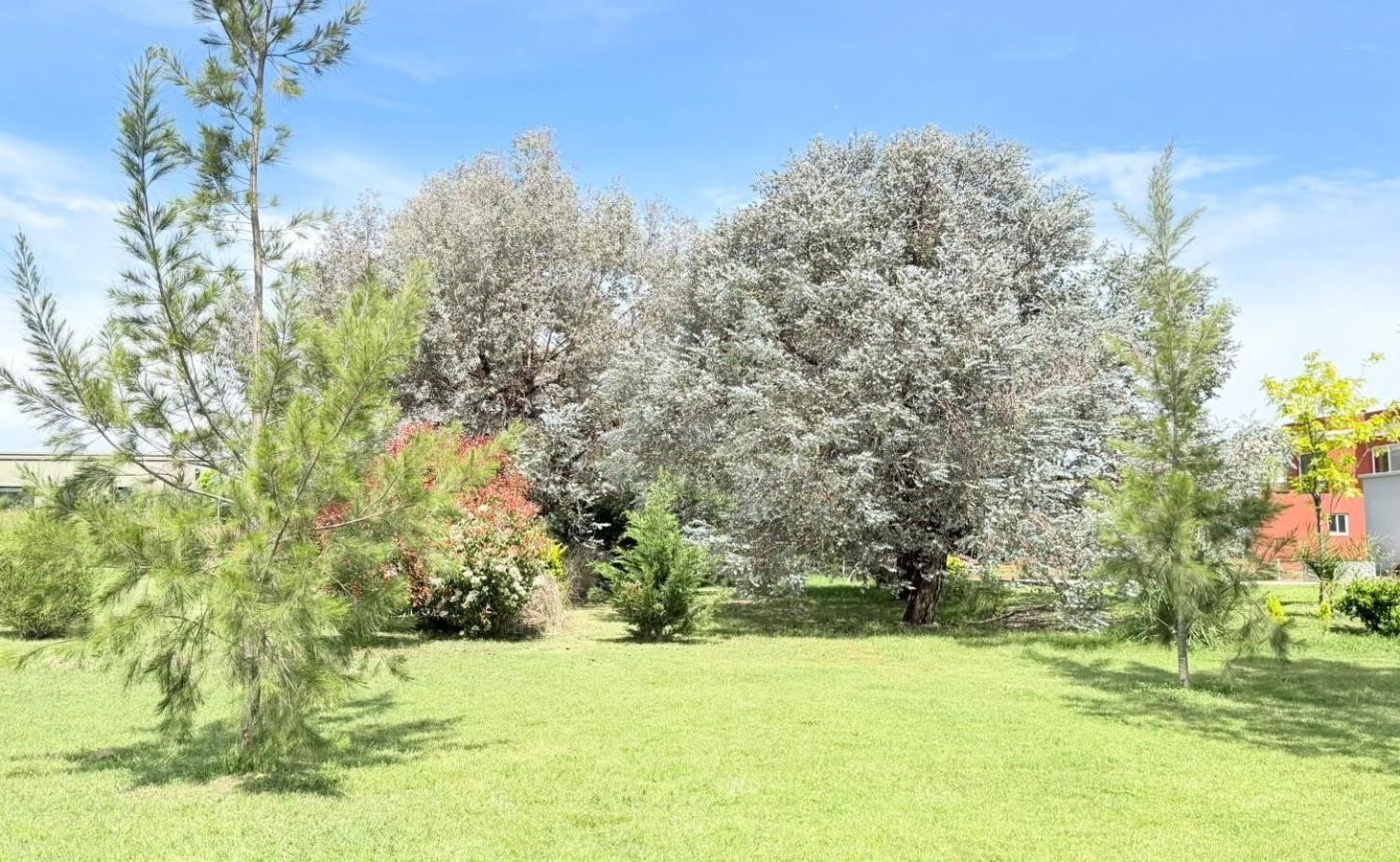 Foto de Terreno Lote en Venta en Casuarinas del Pilar, Zelaya, Pilar, imagen 1