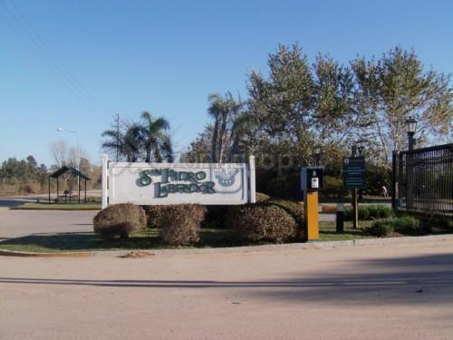 Foto de Amarra en el peine principal en San Isidro Labrador, imagen 2