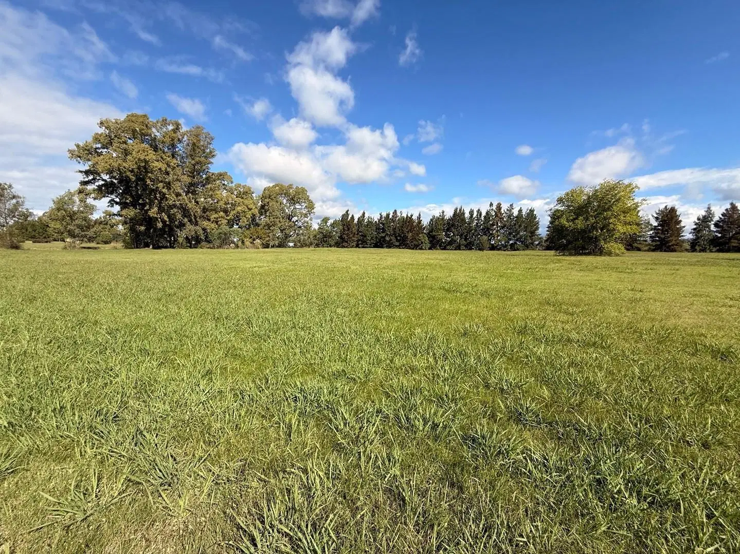 Terreno Lote  en Venta en Pinares CC, Exaltación de la Cruz, G.B.A. Zona Norte 3