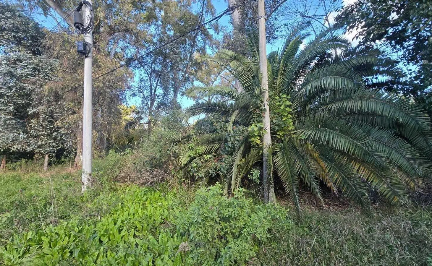 Terreno Lote  en Venta en El Remanso, Exaltación de la Cruz, G.B.A. Zona Norte 5