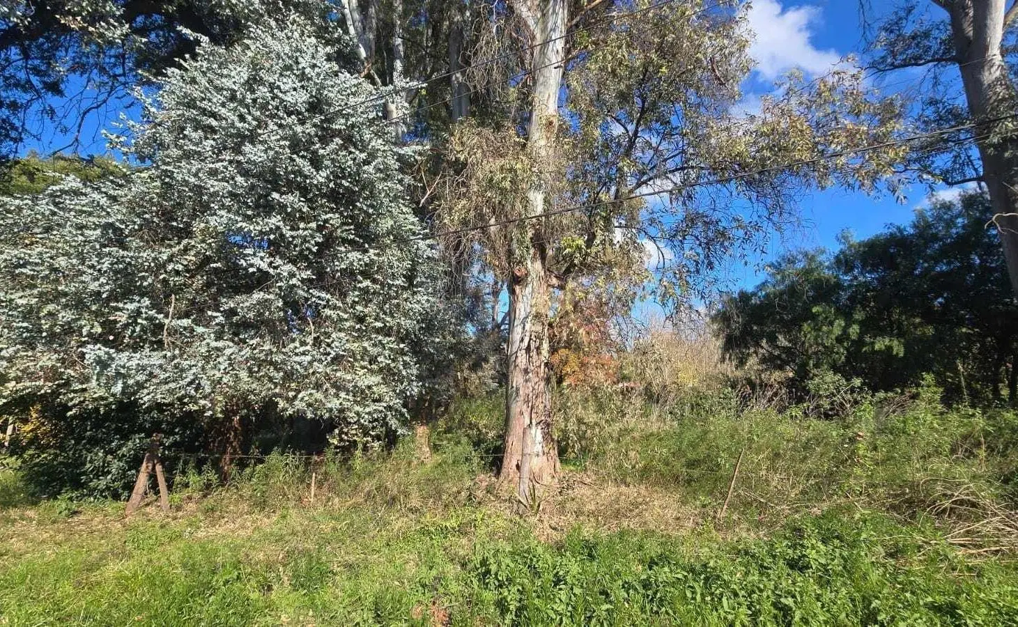 Terreno Lote  en Venta en El Remanso, Exaltación de la Cruz, G.B.A. Zona Norte 4