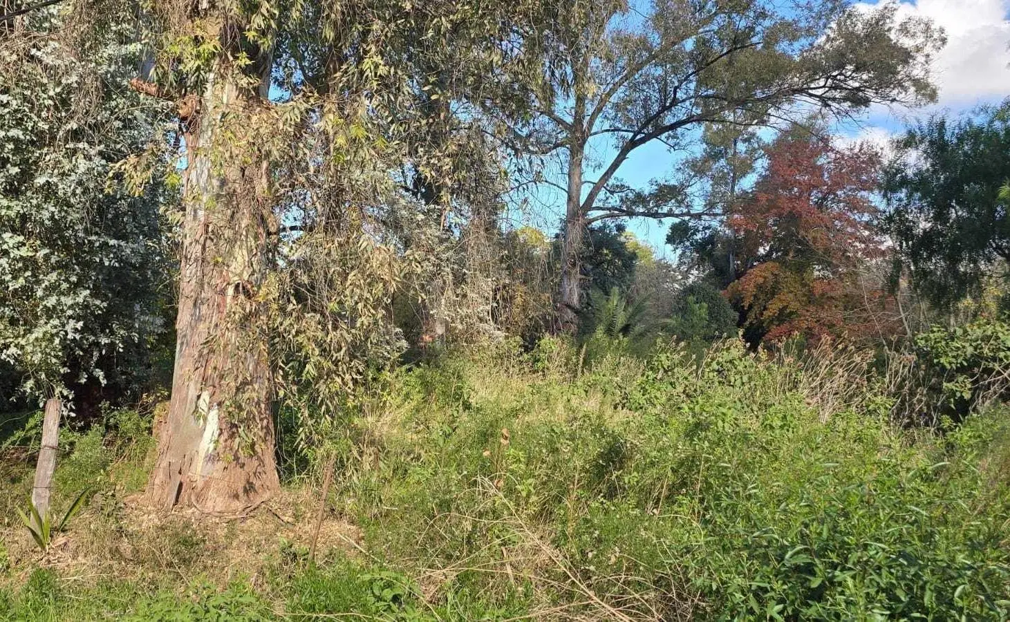Terreno Lote  en Venta en El Remanso, Exaltación de la Cruz, G.B.A. Zona Norte 2