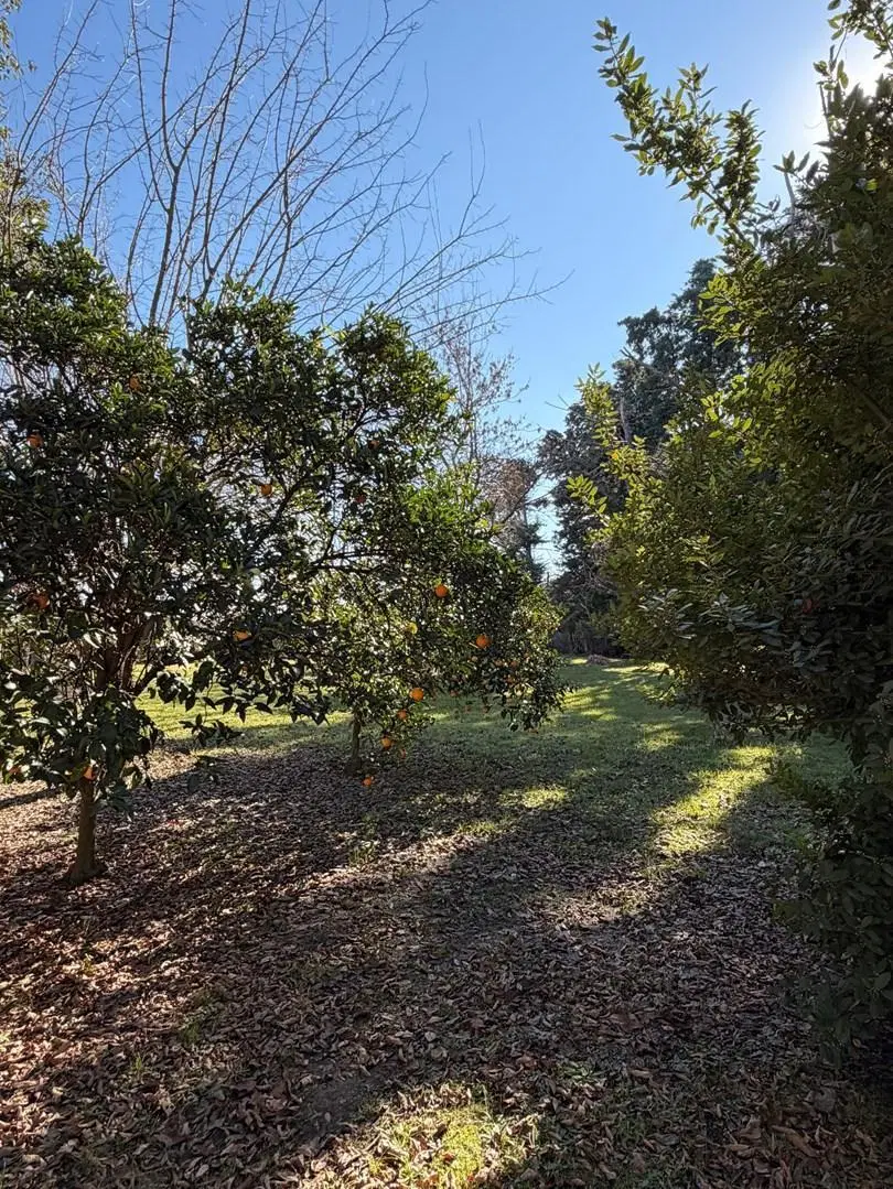 Terreno Lote  en Venta en Parque Exaltación, Exaltación de la Cruz, G.B.A. Zona Norte 4