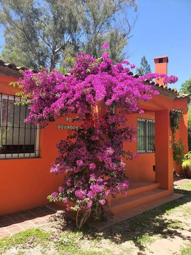 Casa Chalet  en Alquiler en Barrio Parque Los Pinos, Exaltación de la Cruz, G.B.A. Zona Norte 5