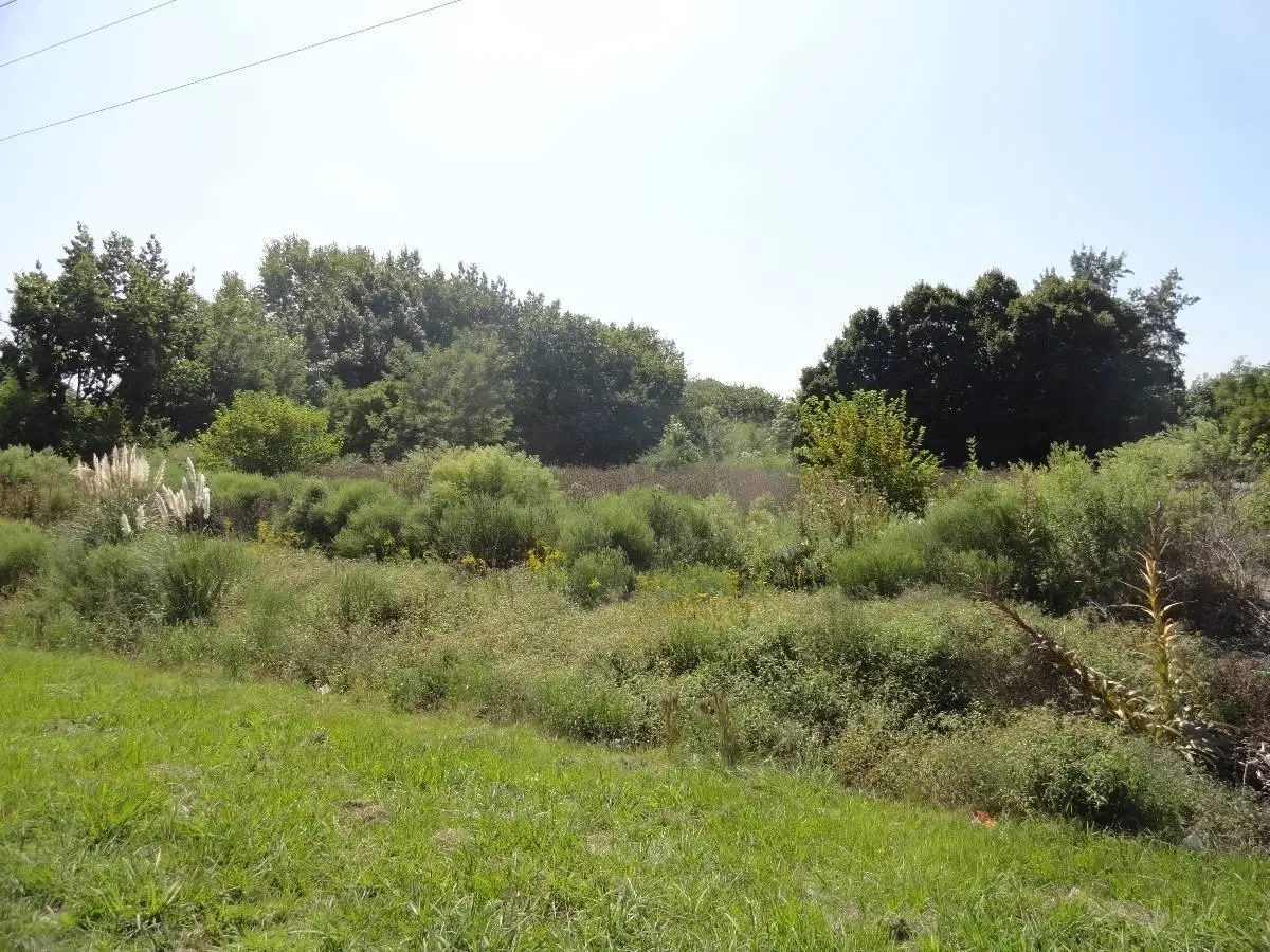 Fracción en Venta ubicado en Ruta 28, Pilar, G.B.A. Zona Norte 4