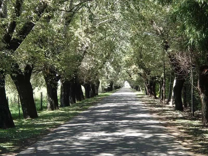Terreno Lote  en Venta en Larena Country Club, Pilar, G.B.A. Zona Norte 5
