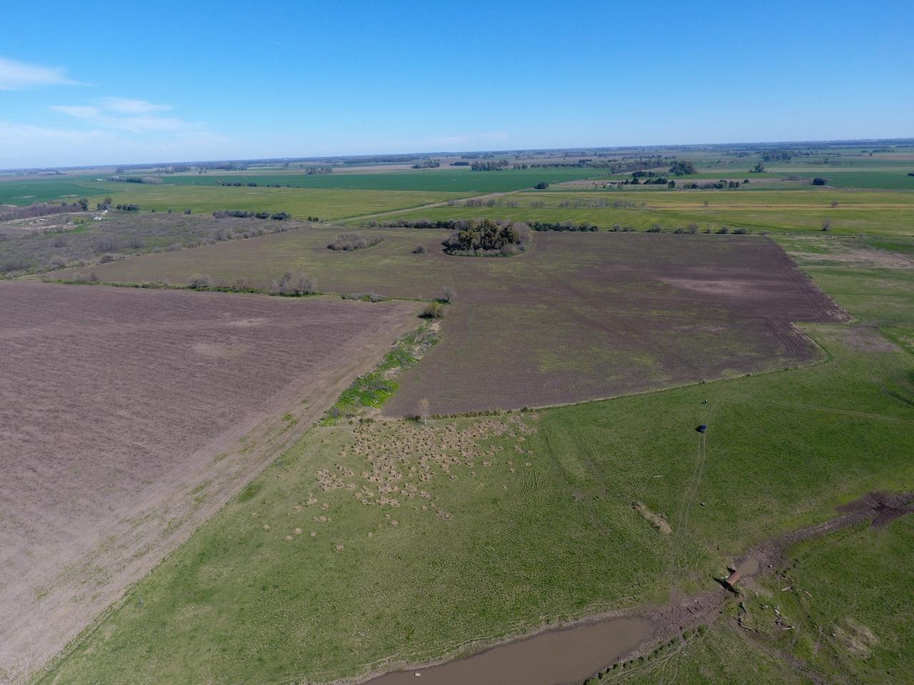 Foto de Terreno Campo en Venta en Altos de Robles, Parada Robles, Exaltación de, imagen 5