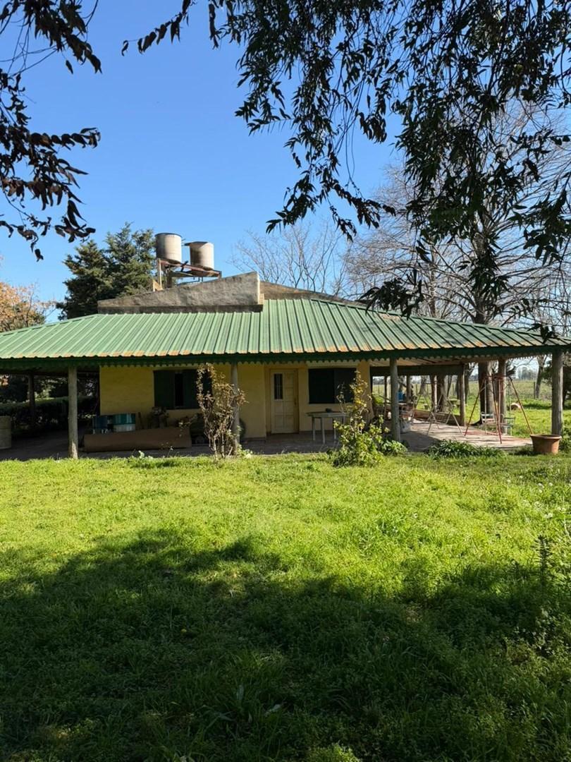 Foto de Terreno Campo en Venta en Altos de Robles, Parada Robles, Exaltación de, imagen 1