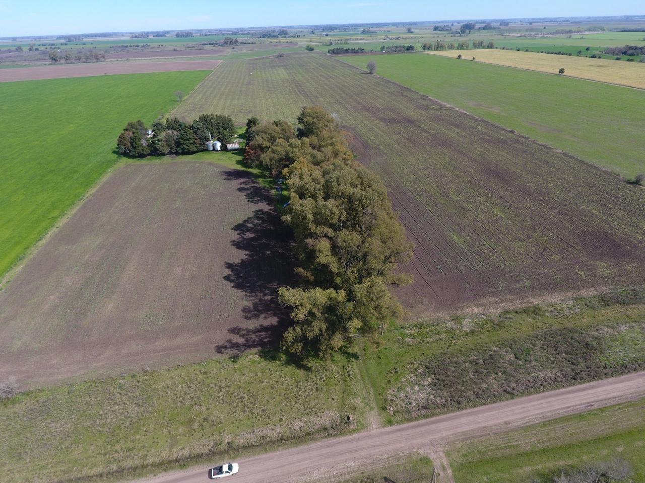 Foto de Terreno Campo en Venta en Altos de Robles, Parada Robles, Exaltación de, imagen 5