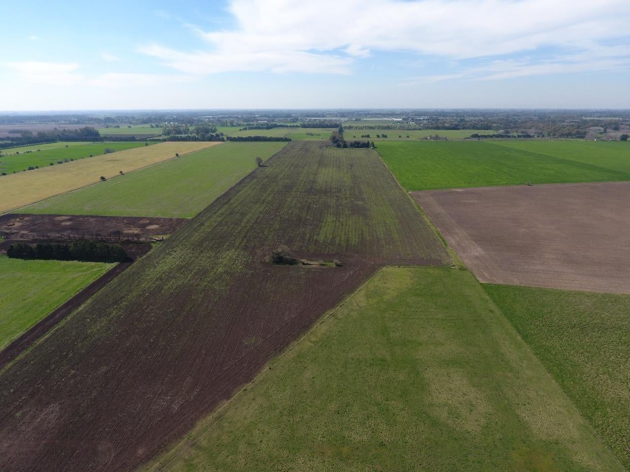 Foto de Terreno Campo en Venta en Altos de Robles, Parada Robles, Exaltación de, imagen 3