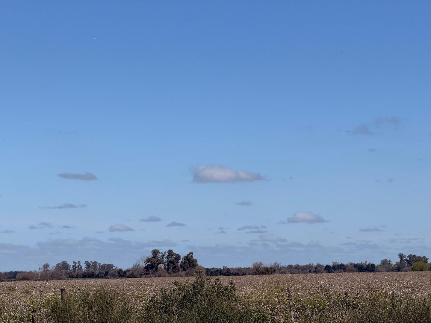 Foto de Terreno Campo en Venta en Altos de Robles, Parada Robles, Exaltación de, imagen 4