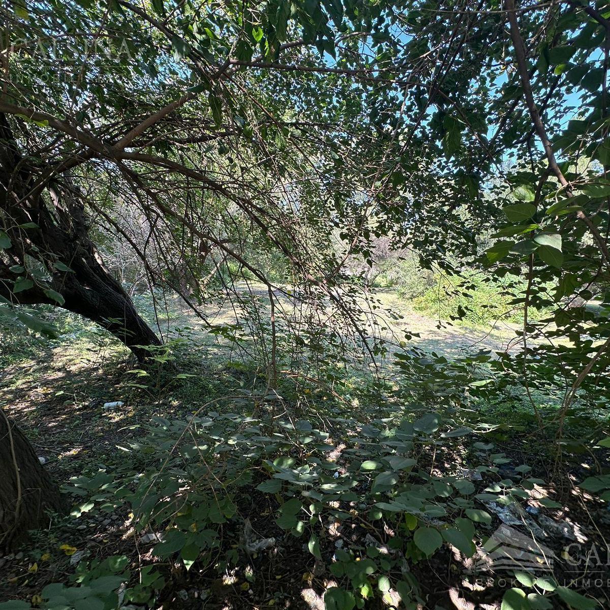Foto de Terreno en venta Villa Allende, imagen 5