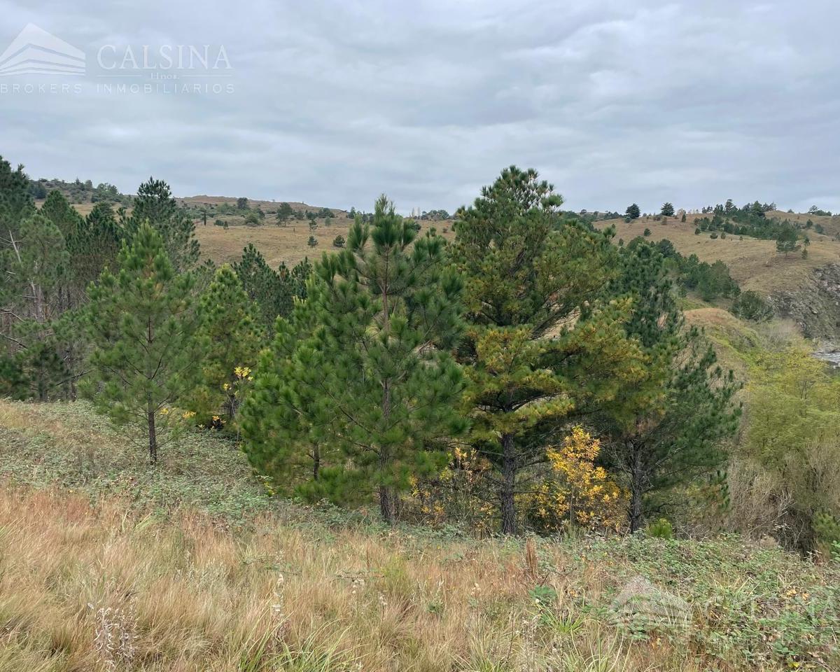 Campo en El Durazno Calamuchita 4