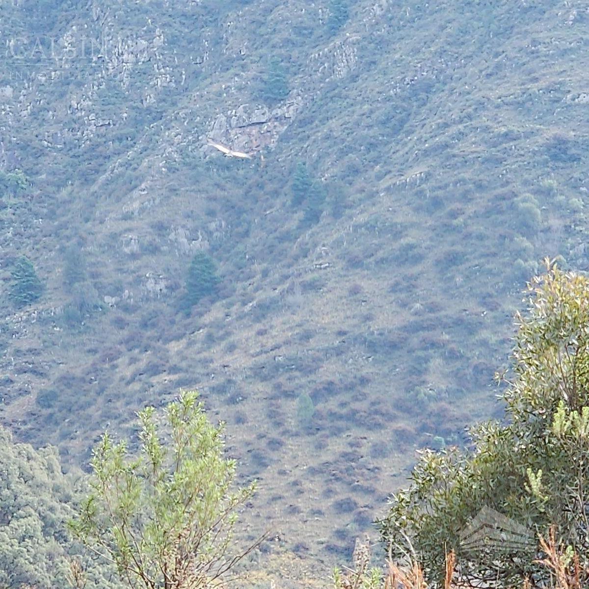 Campo en venta  en San Clemente, Córdoba