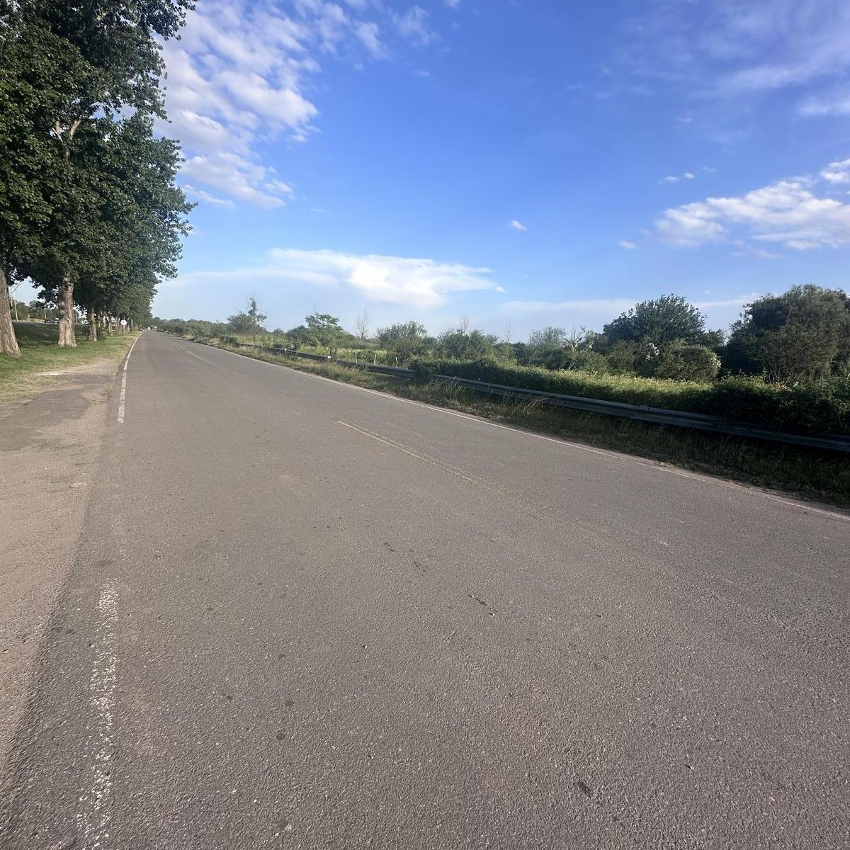 Foto de Terreno en Corredor Lucchese, imagen 2