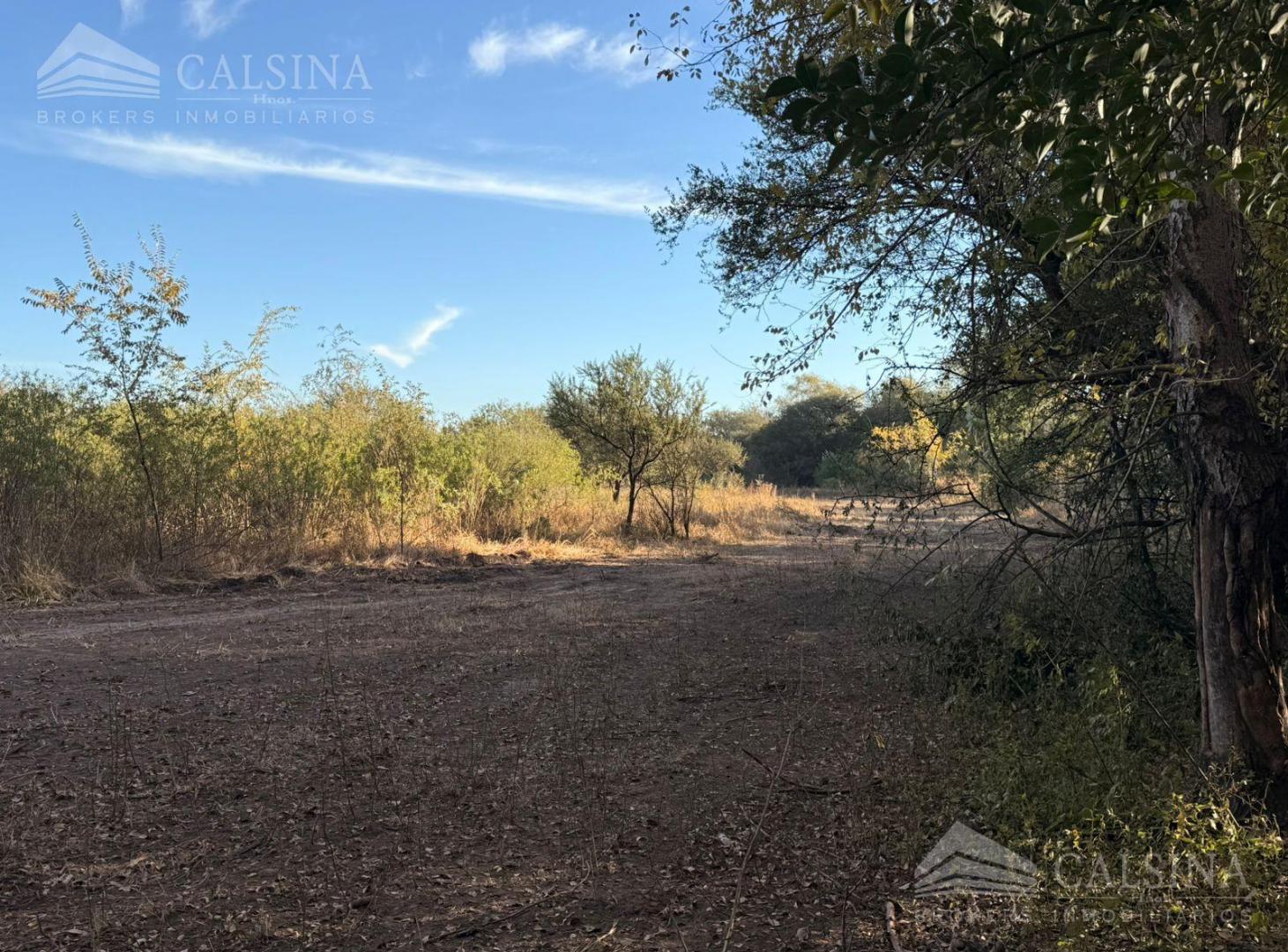 Foto de Terreno en venta, imagen 5