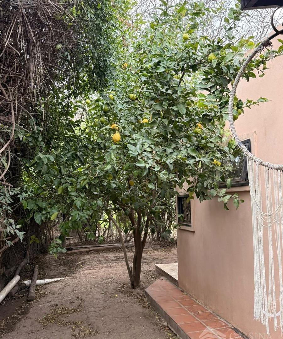 Foto de Departamento amoblado en alquiler, imagen 4