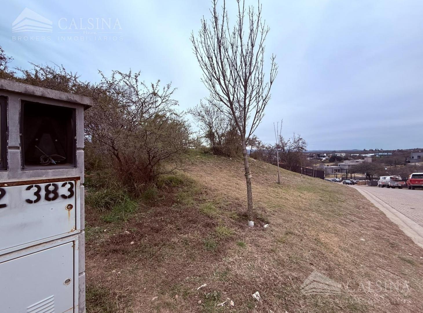 Foto de Terreno en venta El Terron, imagen 4